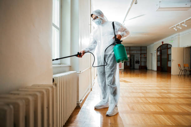 Best Fumigation Services  in Woodworth, LA